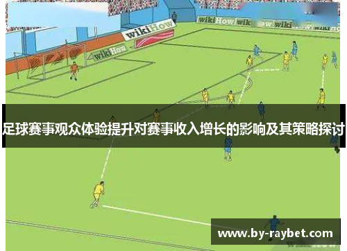 足球赛事观众体验提升对赛事收入增长的影响及其策略探讨