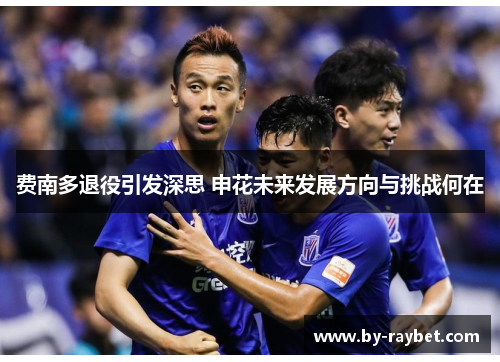 费南多退役引发深思 申花未来发展方向与挑战何在 费南多退役引发深思 申花未来发展方向与挑战何在