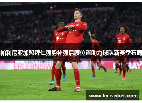 帕利尼亚加盟拜仁强势补强后腰位置助力球队新赛季布局