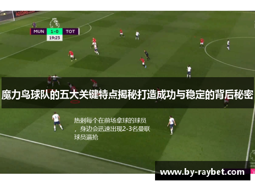 魔力鸟球队的五大关键特点揭秘打造成功与稳定的背后秘密